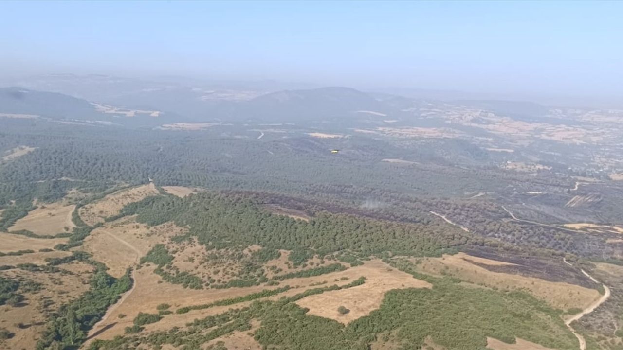 Kepsut'taki Orman Yangınları Kontrol Altına Alındı