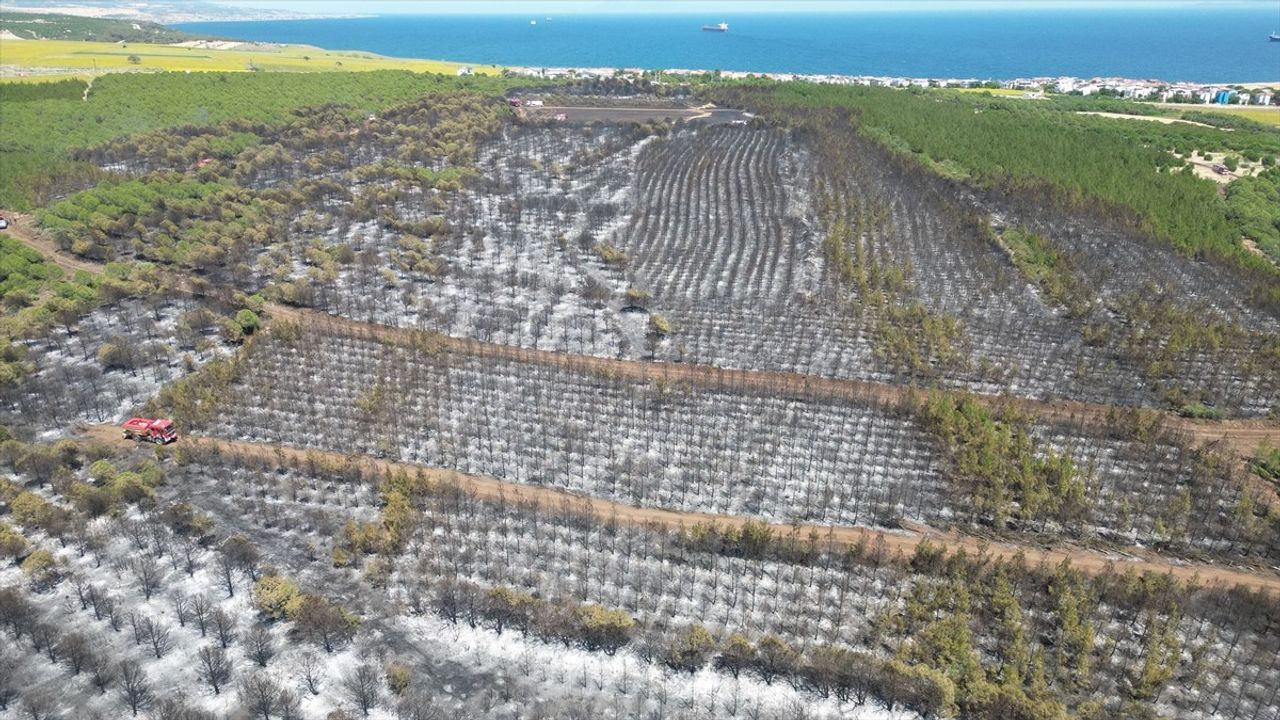 Tekirdağ'daki Orman Yangını Havadan Görüntülendi