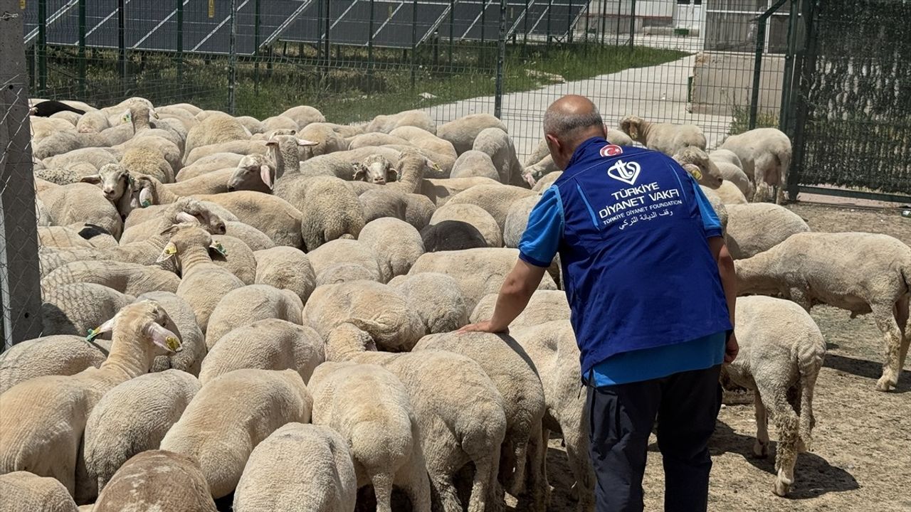 Türkiye Diyanet Vakfı Konya'da Kurban Etlerini İhtiyaç Sahiplerine Ulaştıracak