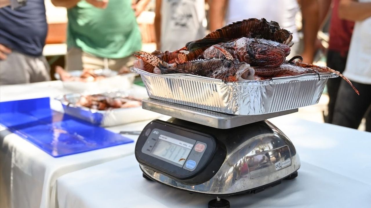 Antalya'da Aslan Balığı Avlama Yarışması