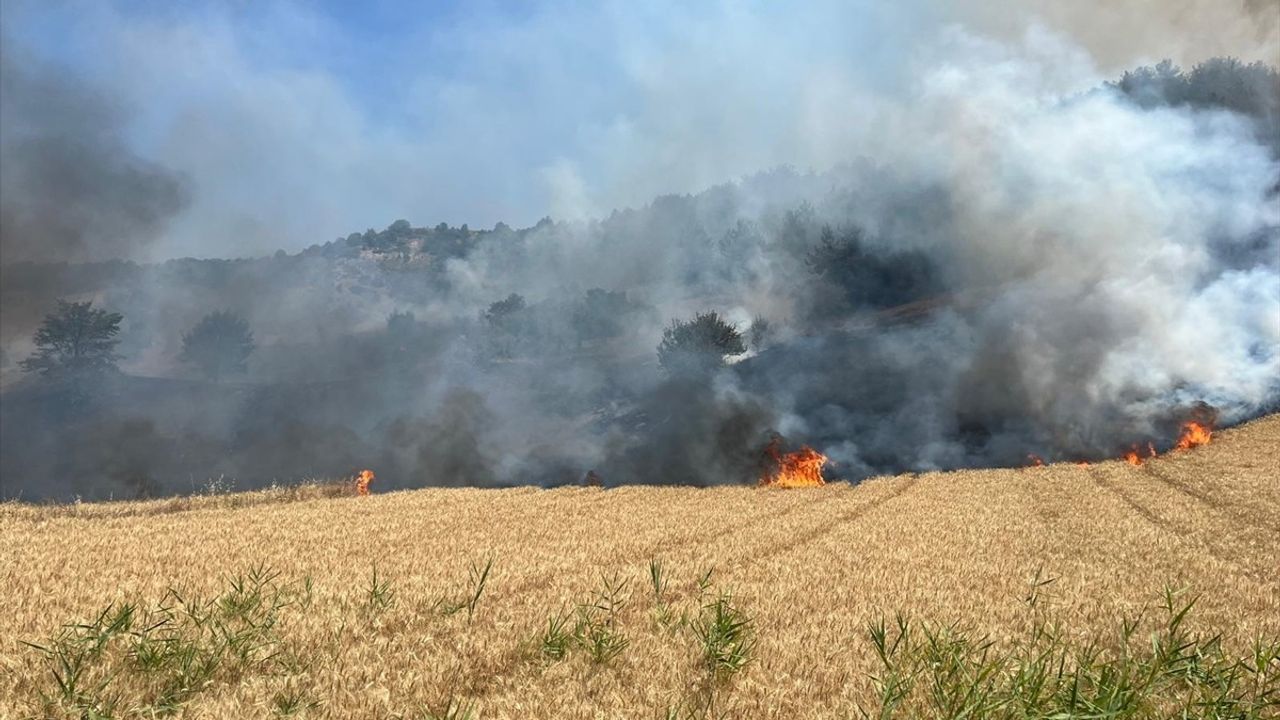 Bilecik'teki Orman Yangınına Hızlı Müdahale