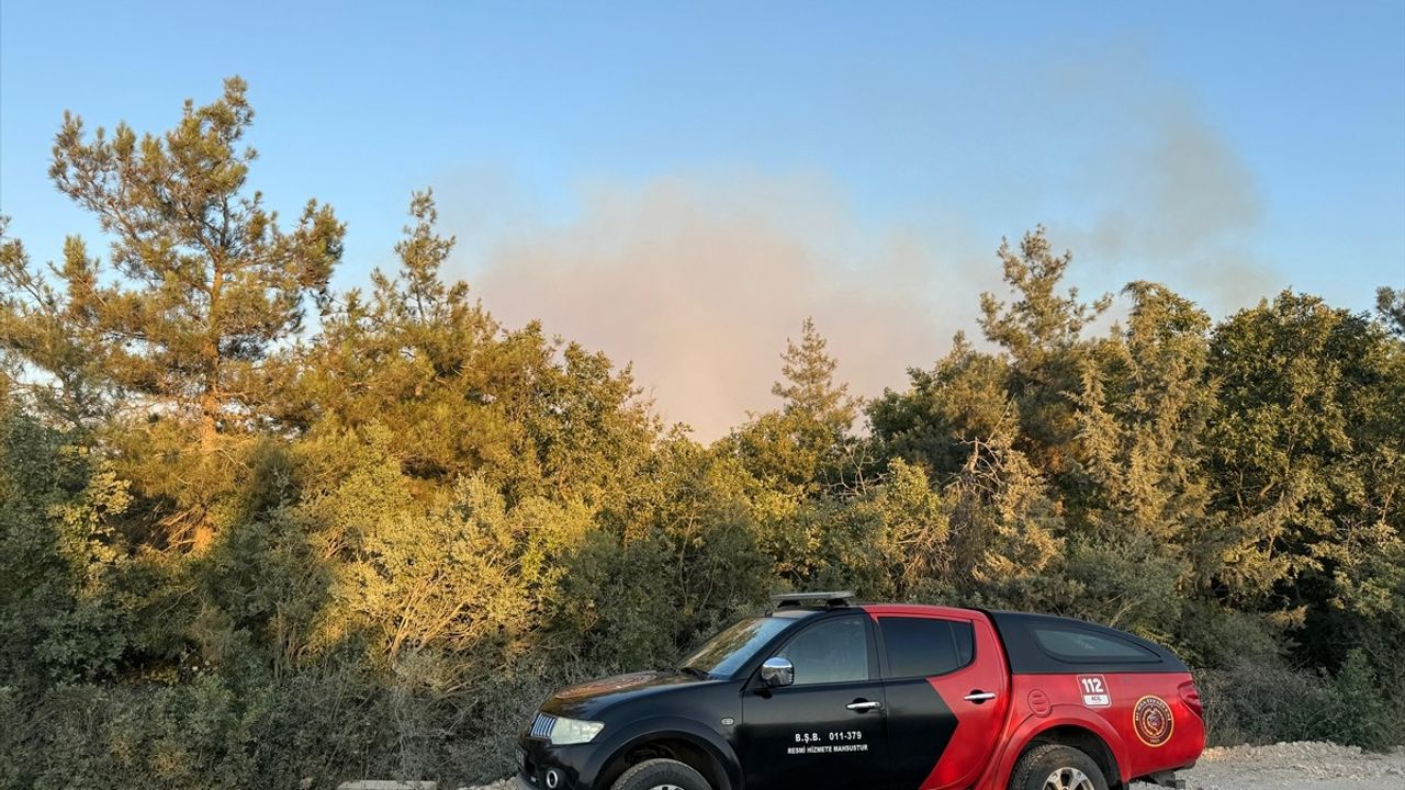 Bursa'nın Nilüfer İlçesinde Orman Yangınına Müdahale
