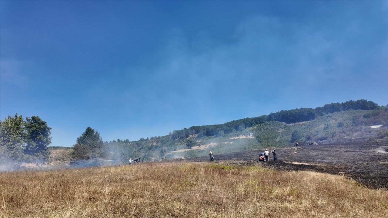 Düzce'deki örtü yangını kontrol altına alındı