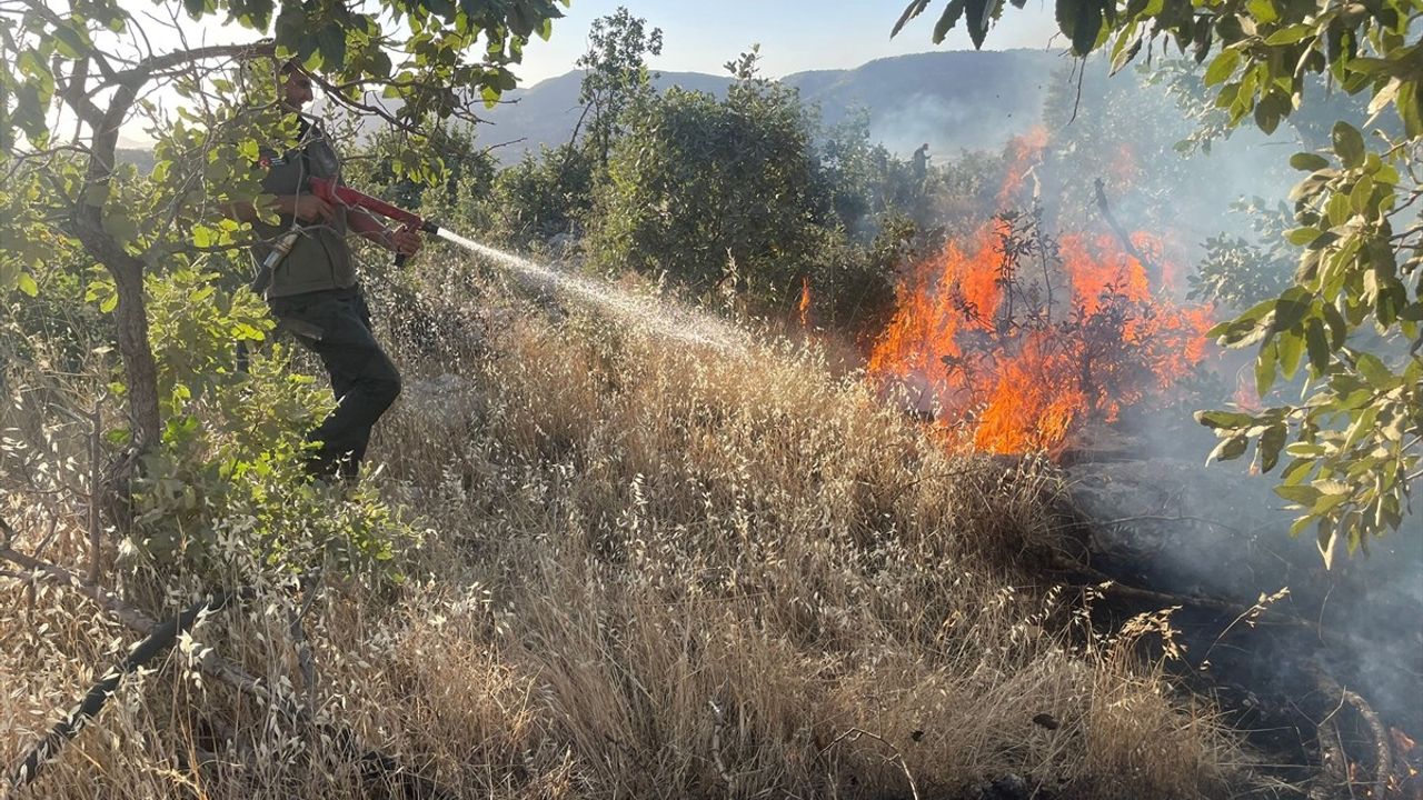 Gabar Dağı'ndaki Orman Yangınına Müdahale