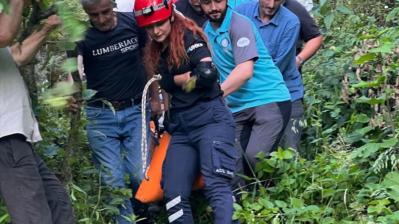 Giresun'da Yamaçtan Düşen Yaşlı Adam Yaralandı