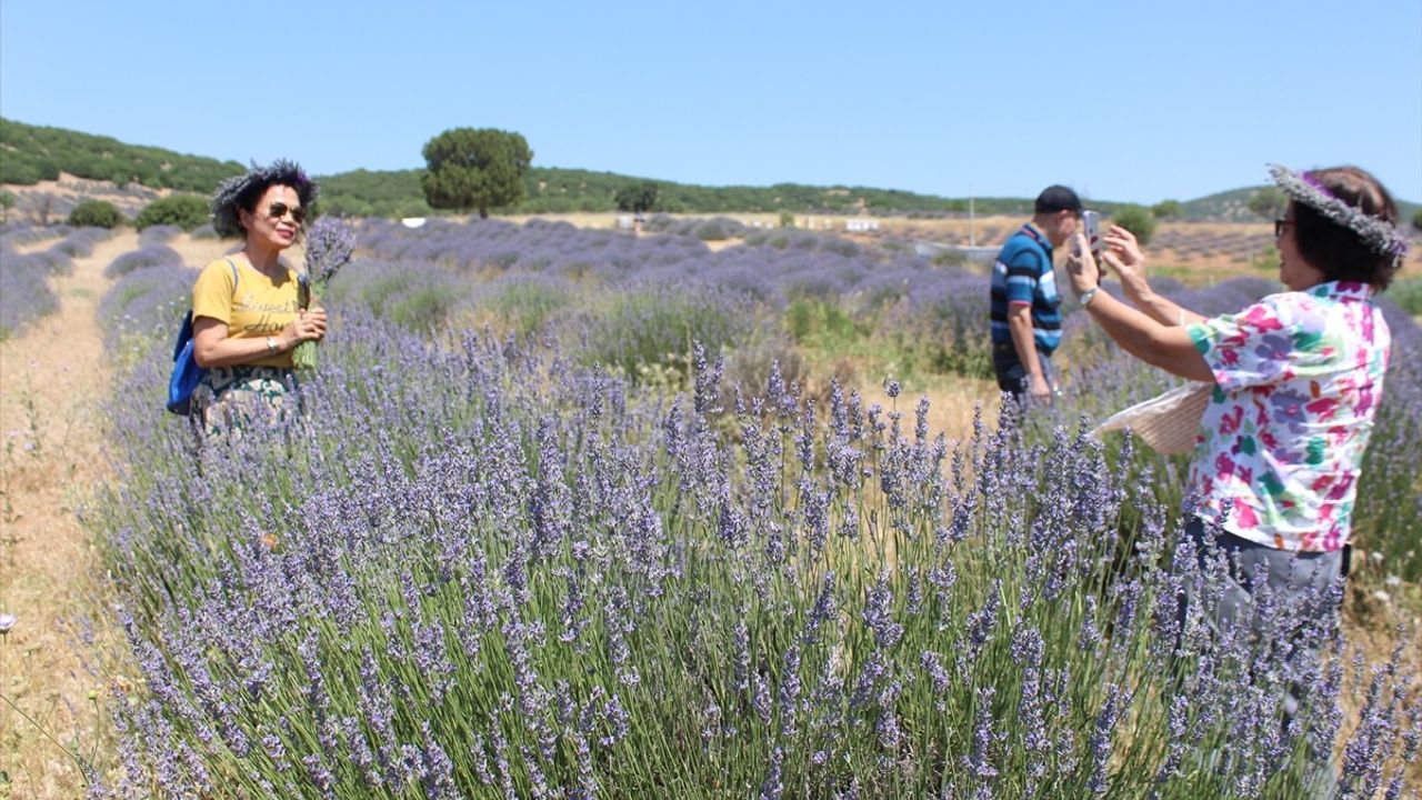 Isparta'nın Mor Tarlaları: Kuyucak'taki Lavanta Bahçeleri Turist Akınına Uğradı