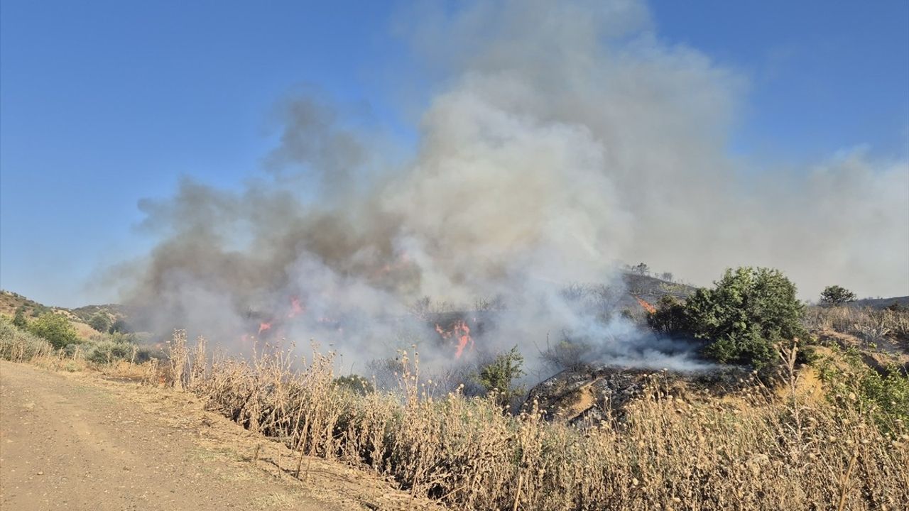 Makilik Alanda Yangın: Manisa'da Havadan ve Karadan Müdahale