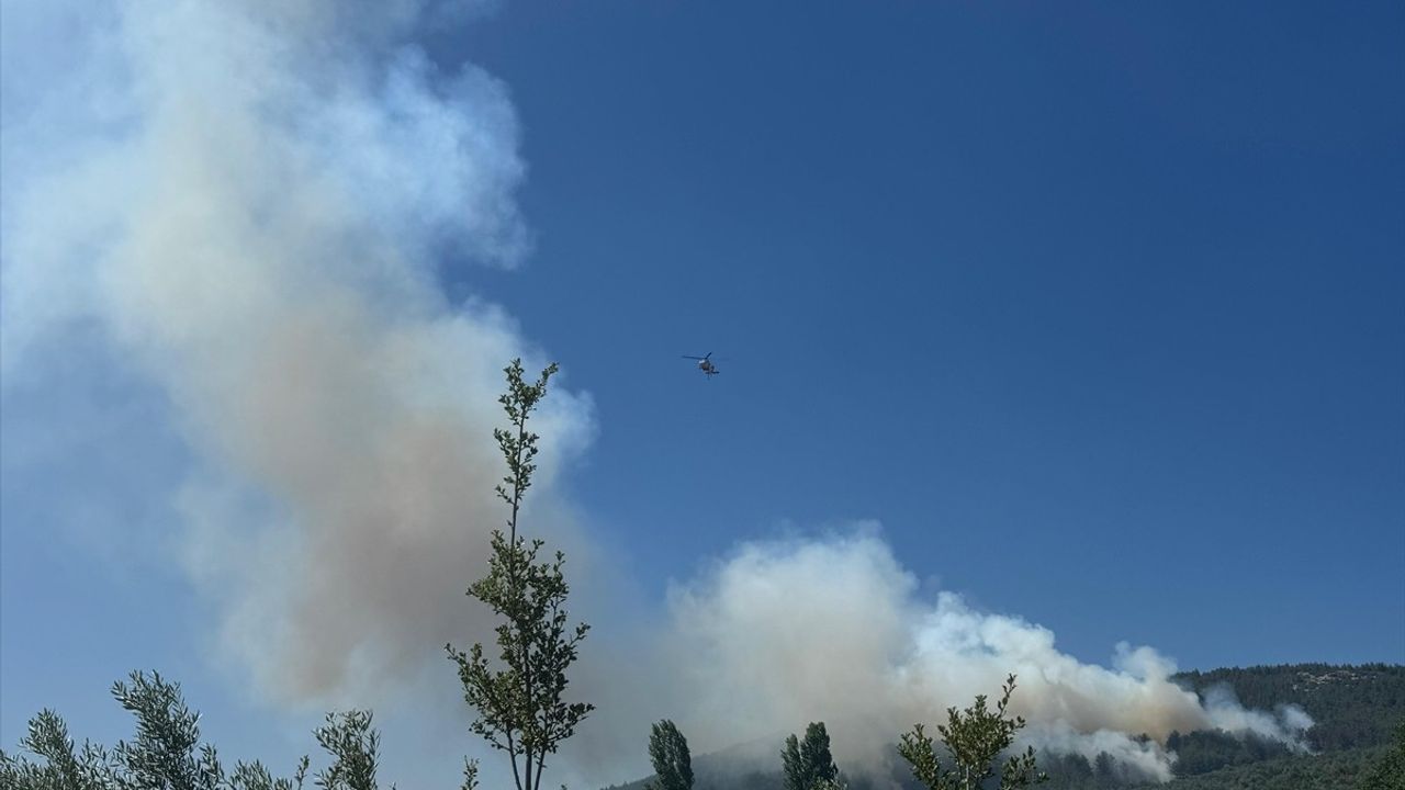Muğla Menteşe'de Orman Yangınına Müdahale