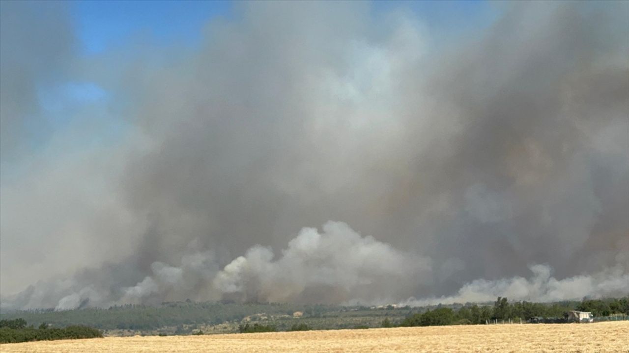 Silivri Ormanında Yangın Devam Ediyor