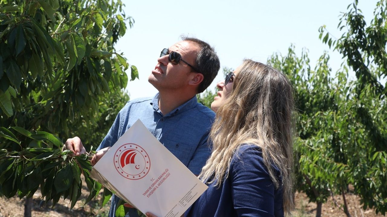 TBMM Komisyonu Eskişehir'deki Kiraz Bahçelerinde İncelemelerde Bulundu