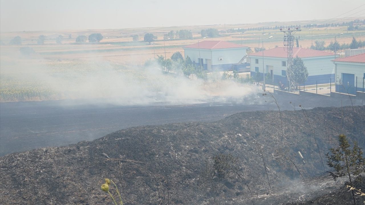 Tekirdağ'da Tarım Alanında Yangın Kontrol Altına Alındı