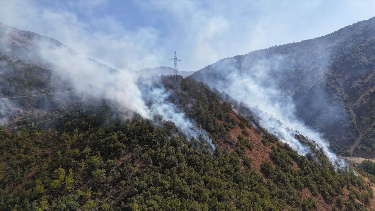 Hakkari'deki Ağaçlık Alanda Yangın Kontrol Altına Alındı