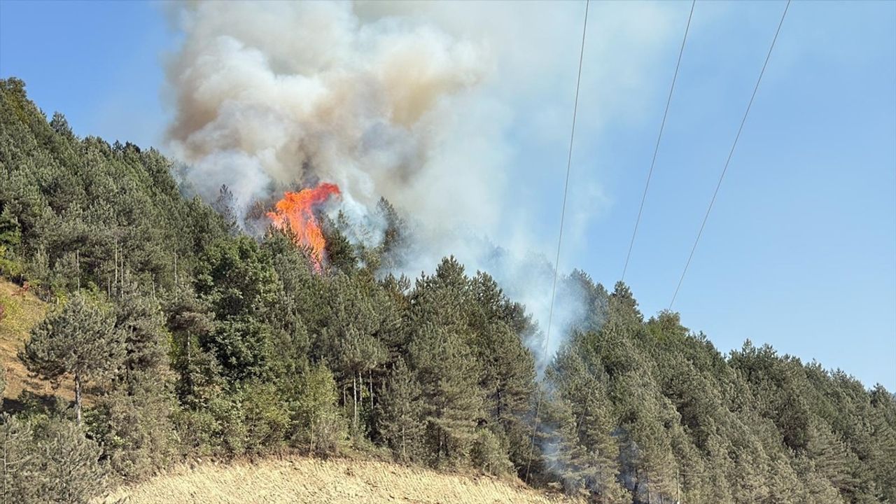 Sinop'ta Orman Yangınına Müdahele