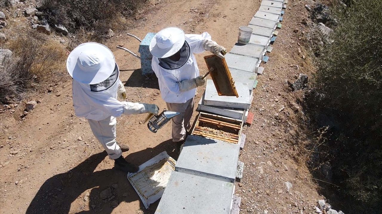 Bodrum'da Baba-Oğul Arıcılık Geleneği ve Ürün Çeşitliliği