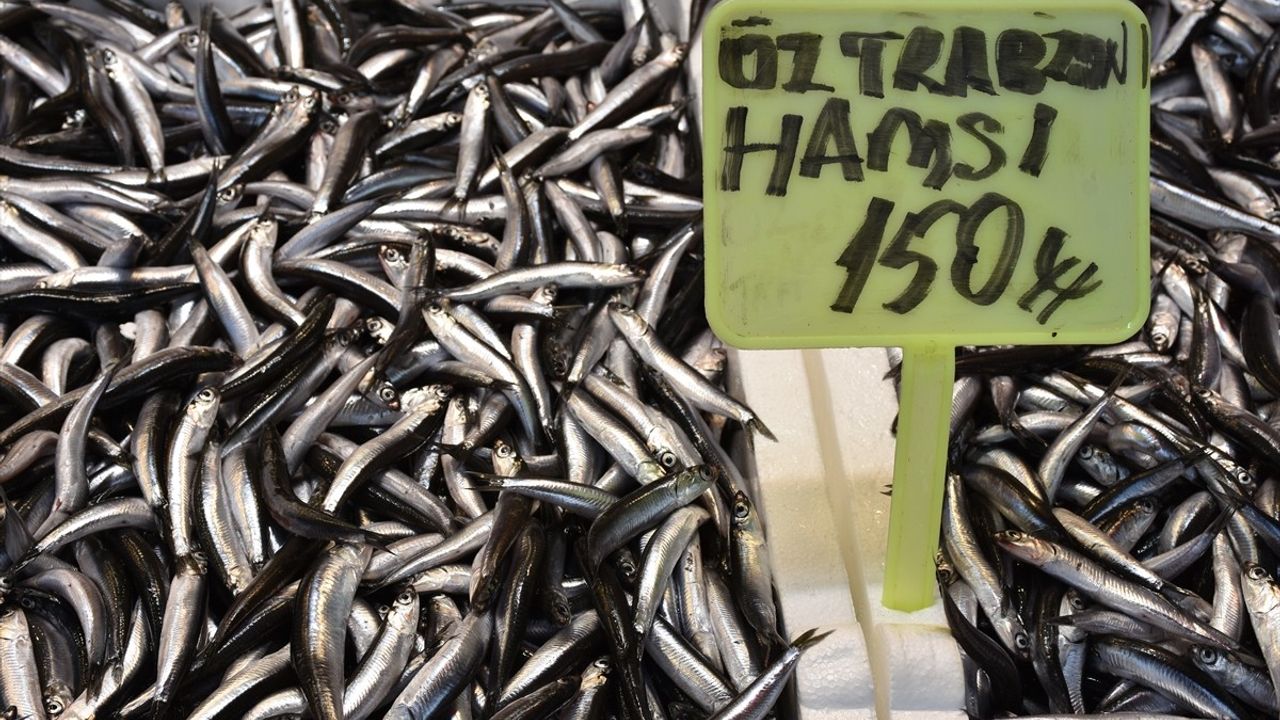 Trabzon'da Hamsi ve İstavrit Fiyatları Düşüşte