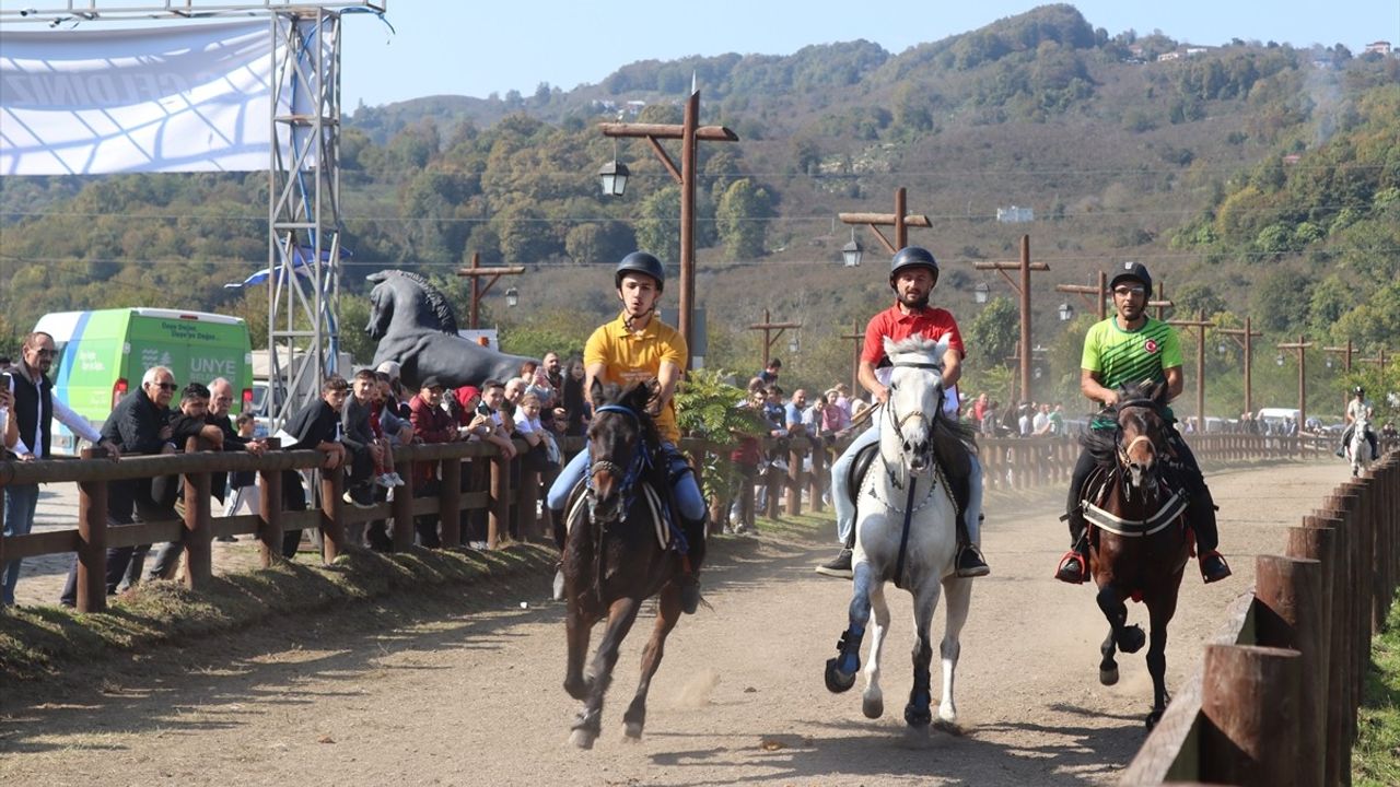 Cumhuriyet Kupası Rahvan At Yarışları Ünye'de Gerçekleşti