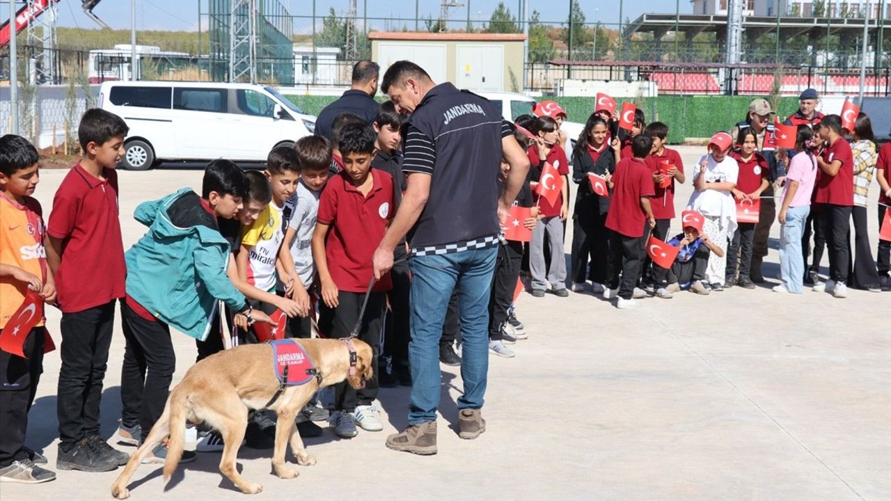 Diyarbakır'da Cumhuriyet Bayramı Coşkusu
