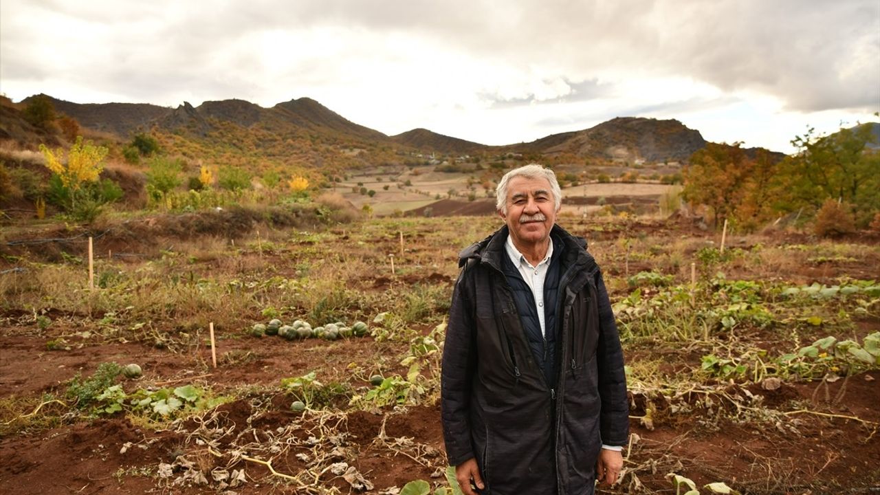 Giresun'da Emekli Banka Müdürü Antep Fıstığı Bahçesi Kurdu