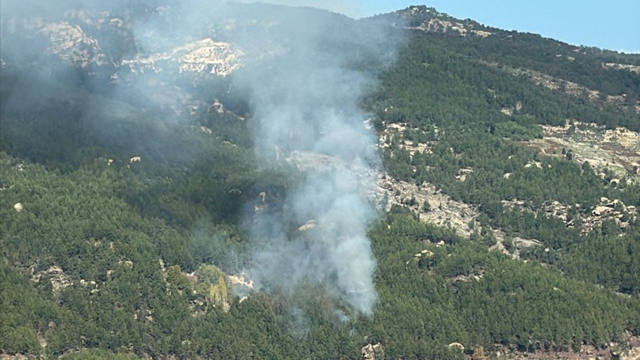 Muğla Kavaklıdere'de Orman Yangınına Müdahale