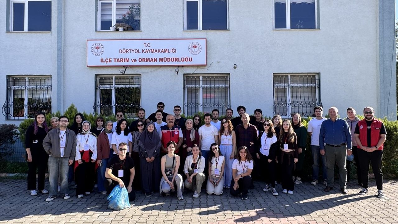 Odtu Öğrencileri Hatay'da Mandalina Hasadı Yaptı