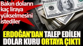 Erdoğan'ın Talep Ettiği Dolar Kuru Ortaya Çıktı: İşte Beklenen Seviyeler