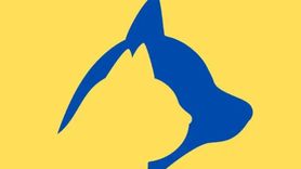 Resimde İlk Gördüğünüz Hayvan Baskın Kişiliğinizi Açığa Çıkarıyor!