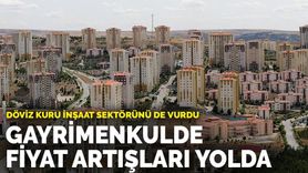 Döviz Kuru Yükselişi Gayrimenkul Sektörünü Vurdu