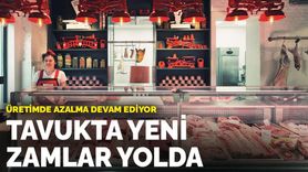 Tavuk Eti Üretiminde Azalma Devam Ediyor: Yeni Zamlar Yolda