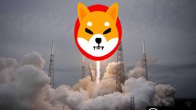 SHIB Fiyatı Yükseliyor: Shibacals İle NFT Piyasasında Büyük Sıçrama Bekleniyor