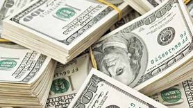 Türkiye Kamu Bankaları TL Değer Kaybını Önlemek İçin Döviz Sattı