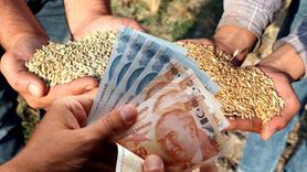 Buğday ve Arpa Fiyatları Güncellendi