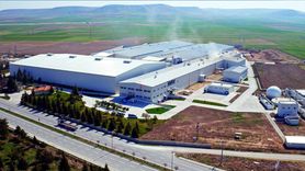 Şirketin Halka Arzı ve Dağıtım Detayları