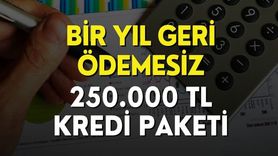 Halkbank 12 Ay Geri Ödemesiz 250.000 TL Limitli Kredi Veriyor!