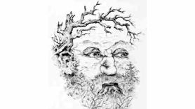 Gizli Atı Bulabilecek misiniz?