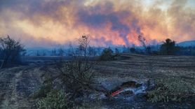 Dünya Meteoroloji Örgütü, Su Kaynaklarının Durumu Hakkında Uyarıda Bulundu
