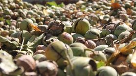 Erdoğan'dan BAE'ye yeni jest