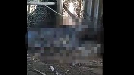 Dev Piton Bir İnsanı Tek Lokmada Yuttu!