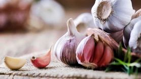 Sarımsağın Sağlığa Faydaları