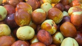 Hünnap ve Yoğurdun Sağlığa Faydaları