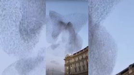 Gazze'deki Ebabil Kuşları İddiası: Videonun Roma'da Çekildiği Belirlendi