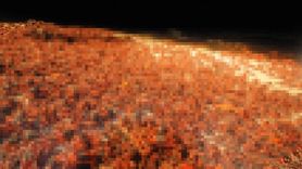 Şaşırtan Tablo! 120 Milyon Yengeç Yola Düştü: Her yer Kırmızıya Döndü