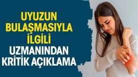 Uyuzun Bulaşmasıyla İlgili Uzmanından Kritik Açıklama