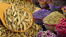 İyileştirici Özellikleriyle Bilinen Baharatlar