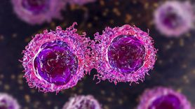 Akciğer Kanseri: Belirtileri, Tedavi Yöntemleri ve Korunma Önerileri