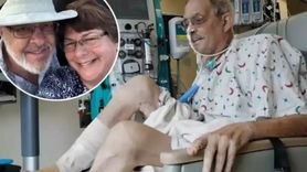 Domuzdan İnsana Kalp Nakli Deneyleri Sonuçsuz Kalıyor