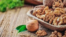 Ceviz: Faydaları ve Potansiyel Zararları