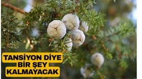 Mucize Ot Bronşite İyi Geliyor