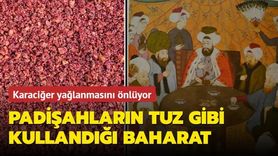 Sumak Baharatının Faydaları