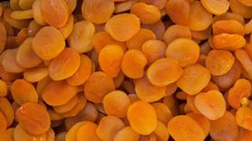 Bağırsak Sağlığını Düzenleyen Kuru Kayısı ve Kuru Erik