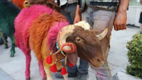 Denizli'de Koyun Geçirme Bayramı Öncesi Kortej Yürüyüşü Yapıldı